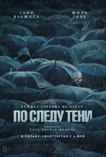 По следу тени