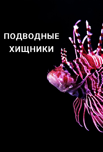 Подводные хищники