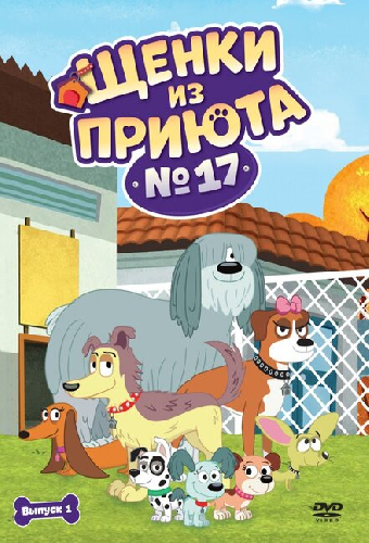 Щенки из приюта № 17