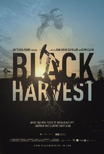 Black Harvest