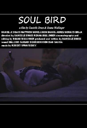 Soul Bird
