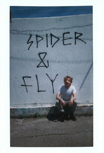 Spider & Fly