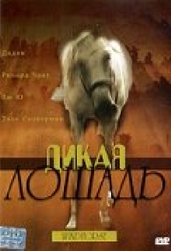 Дикая лошадь