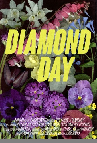 Diamond Day