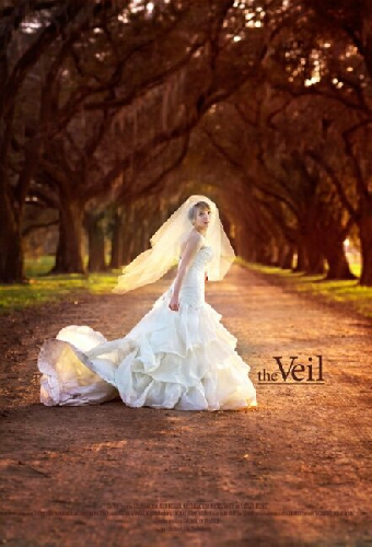 The Veil