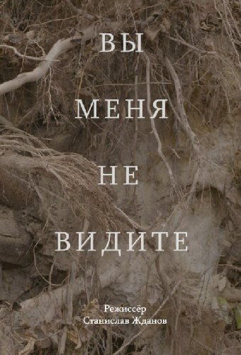 Вы меня не видите