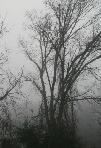 A Haunting in Arkansas