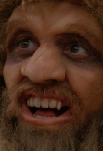 The Sophisticated Neanderthal Interview