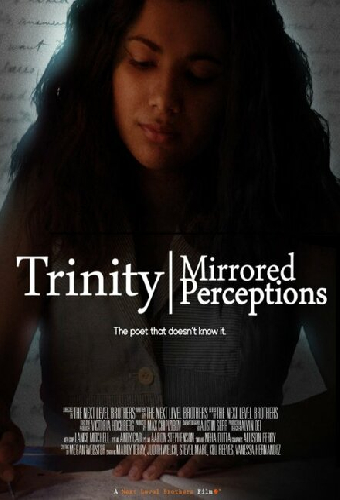 Trinity: Mirrored Perceptions