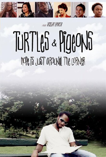 Turtles & Pigeons