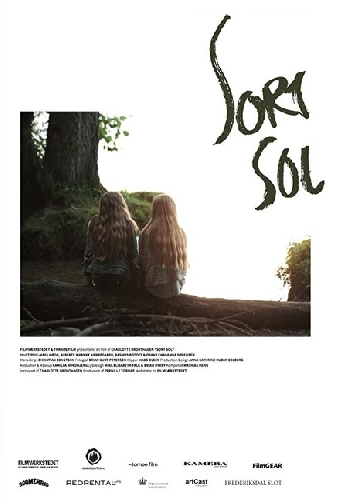 Sort sol