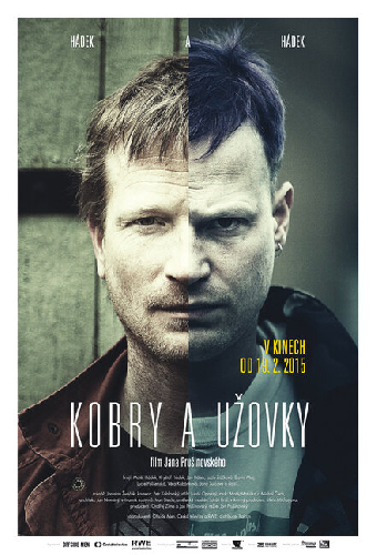 Кобры и ужи
