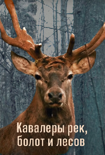 Кавалеры рек, болот и лесов