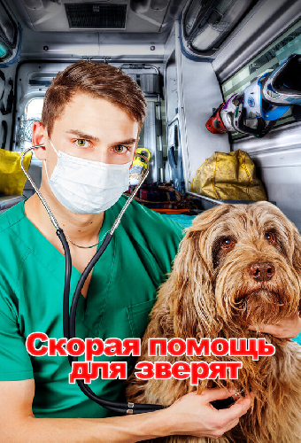 Скорая помощь для зверят