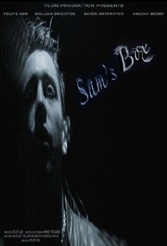 Sam's Box