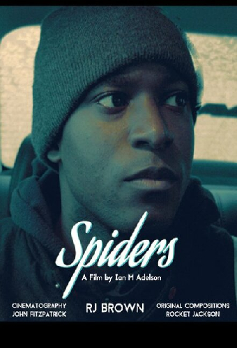Spiders