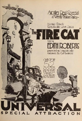 The Fire Cat