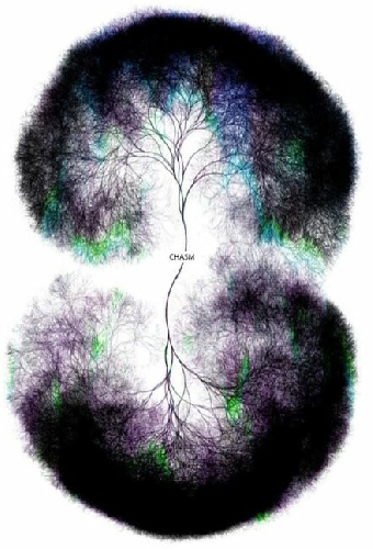 Mind Inc