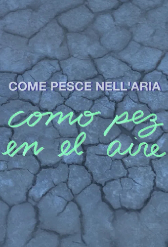 Como pez en el aire