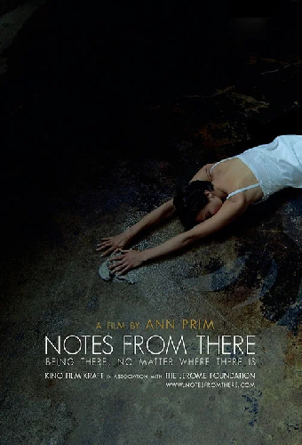 Notes from There
