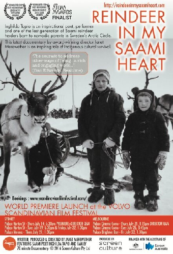 Reindeer In My Saami Heart