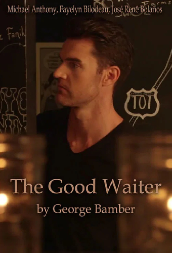 The Good Waiter