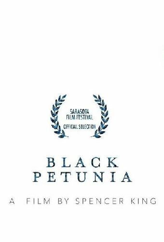 Black Petunia