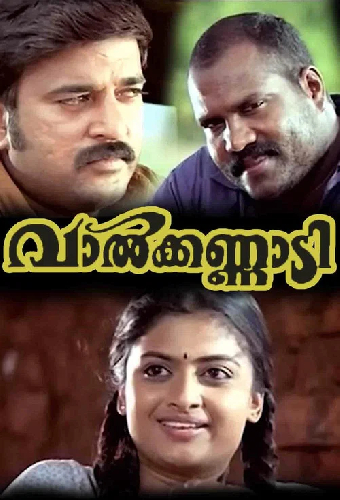 വാൽക്കണ്ണാടി