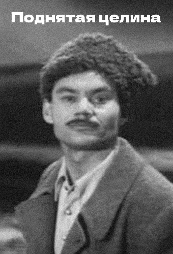 Поднятая целина