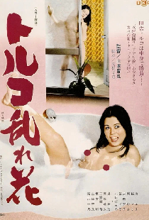 トルコ乱れ花