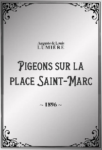 Pigeons sur la place Saint-Marc