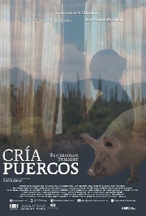 Cría puercos
