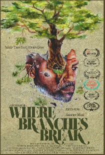 Where Branches Break