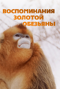 Воспоминания золотой обезьяны