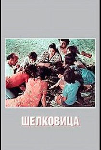 Шелковица