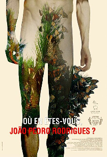 Où en êtes-vous, João Pedro Rodrigues ?