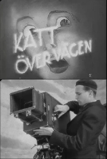Katt över vägen