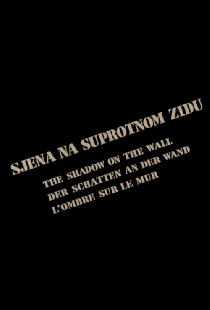 Sjena na suprotnom zidu
