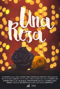 Una rosa