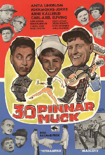 30 pinnar muck
