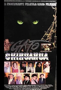 El gato de Chihuahua