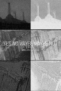 Yes No Maybe Maybe Not