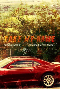 Постер «Take Me Home»
