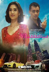 Pencuri Hati Mr Cinderella