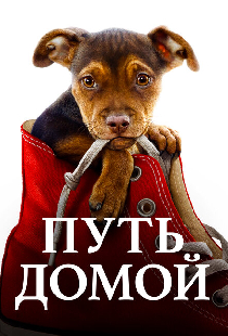 Путь домой