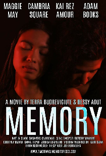 Memory: Time Traveling in Bits and Pieces