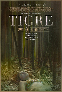 Тигр