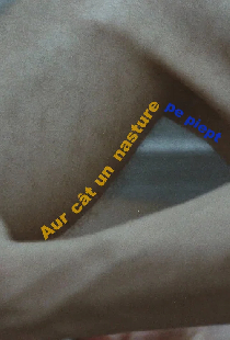 Aur cât un nasture pe piept