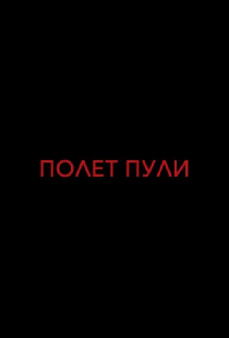 Полет пули