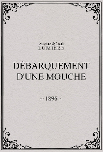 Lyon: Débarquement d'une mouche